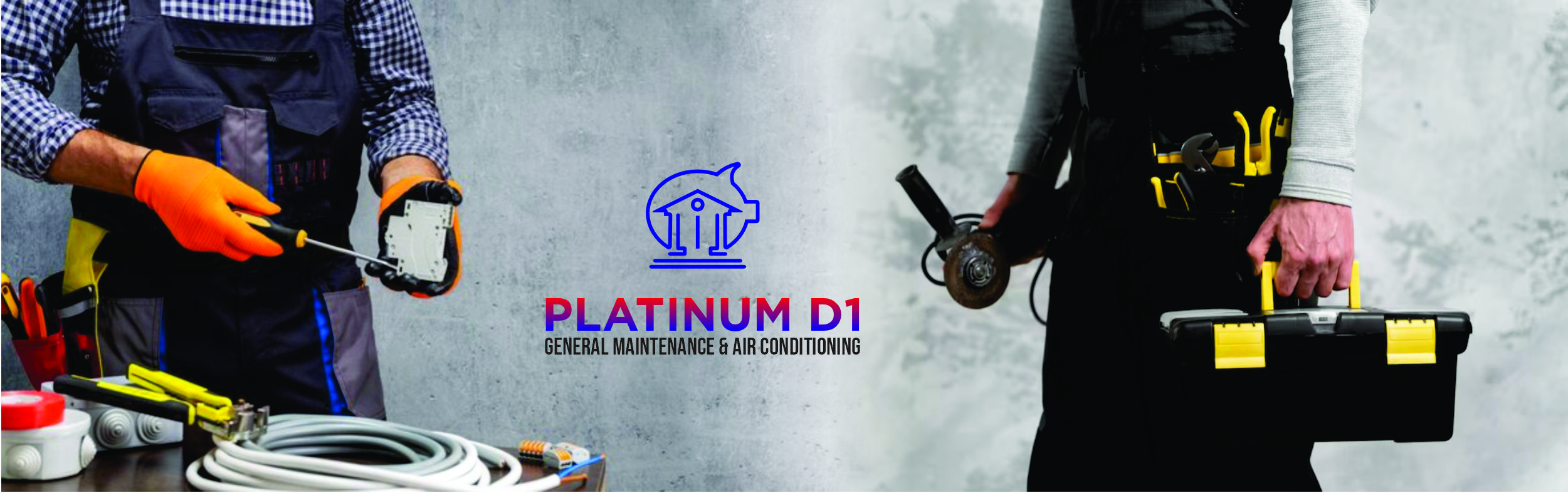 PLATINUM 01